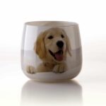 Dog Ner Copy Scaled 1.jpg