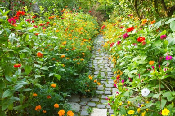 Narrow Pathway Garden Surrounded By Lot Colorful Flowers 1024x778