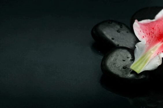 Top View Spa Stones Flower Petal Black Background 1 1024x479